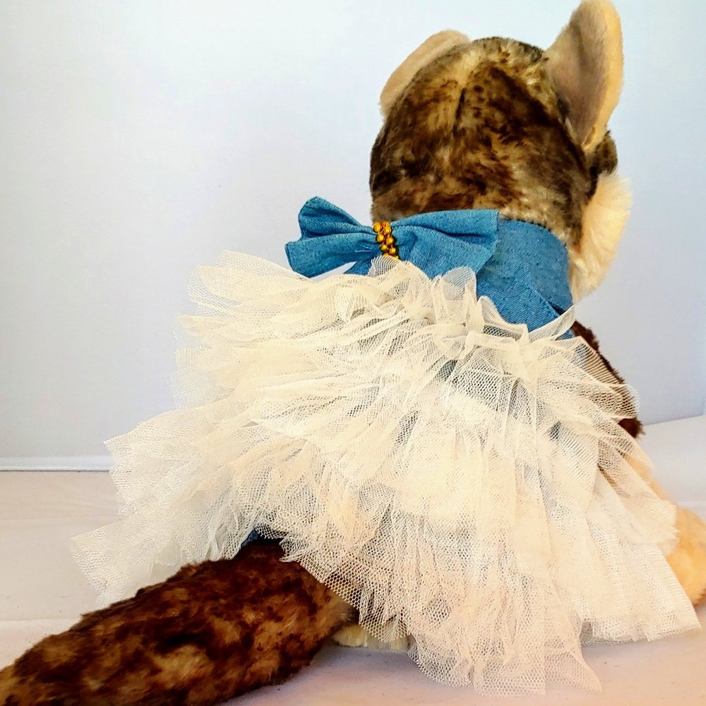 Dress for Pet